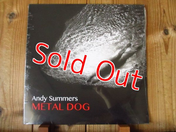 画像1: ポリスのギタリスト、アンディサマーズのギターインストアルバム！■Andy Summers / Metal Dog (1)