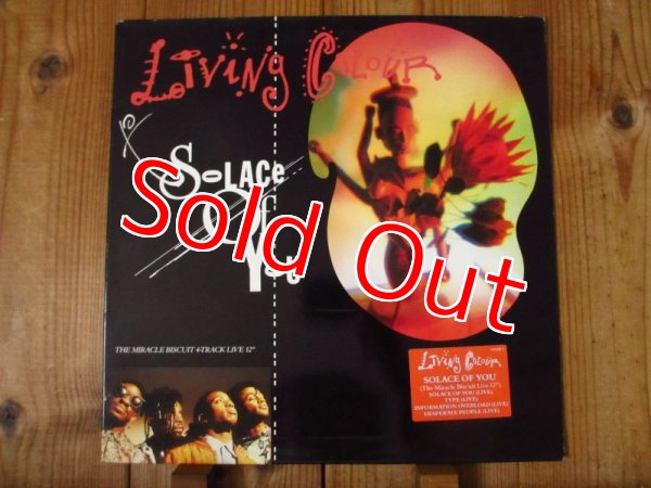 画像1: Living Colour / Solace Of You (The Miracle Biscuit 4-Track Live 12") (1)