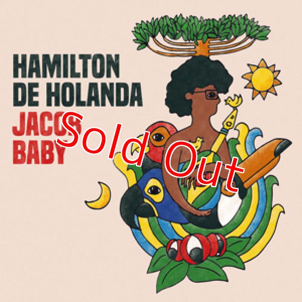 画像6: これでしか手に入らないアミルトンヂオランダの4枚組CDボックス！再入荷！■Hamilton De Holanda / Taca Jacob Do Bandolim (4CD BOX) (6)