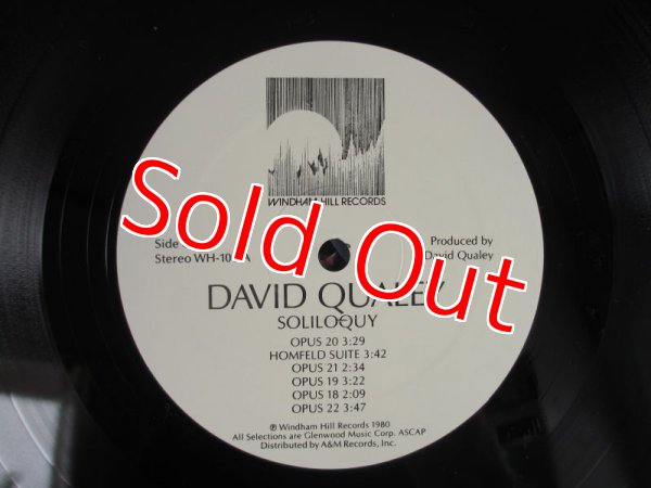 画像3: David Qualey / Soliloquy (3)