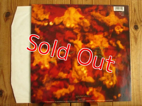 画像2: Dinosaur Jr / Green Mind (2)