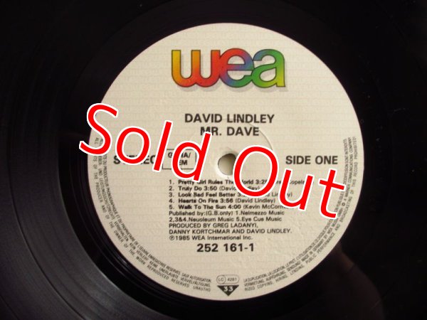 画像3: David Lindley / Mr. Dave (3)