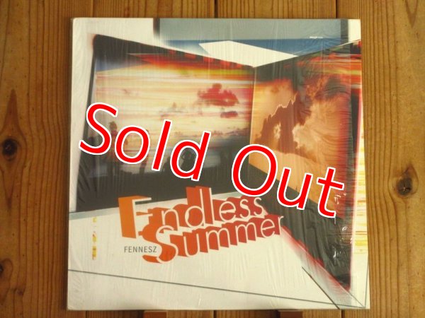 画像1: Fennesz / Endless Summer (1)