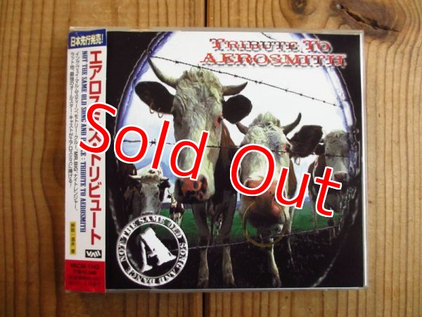 画像1: V.A. / エアロスミス・トリビュート = Tribute To Aerosmith: Not The Same Old Song And Dance (1)
