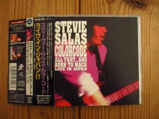 Stevie Salas Colorcode / The Sometimes Almost Never Was - Guitar Records