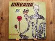 画像1: Nirvana / Incesticide (1)