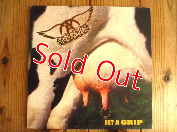 画像1: Aerosmith / Get A Grip (1)