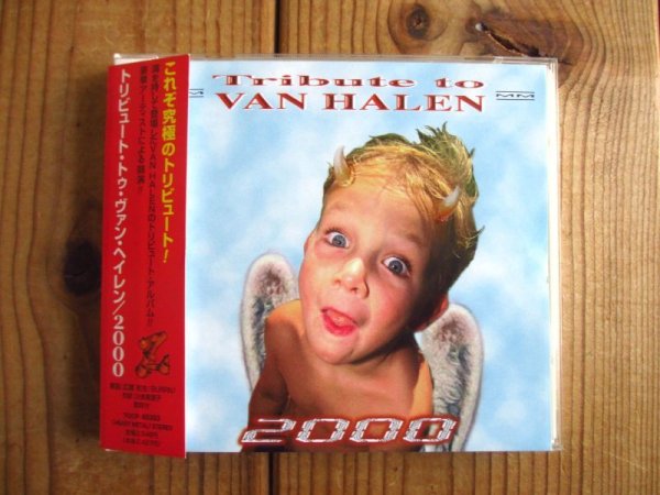 画像1: V.A. (Yngwie Malmsteen, George Lynch, Jake E. Lee, Albert Lee, Doug Aldrich, Brad Gillis, Blues Saraceno, Dweezil Zappa, etc.) / Tribute To Van Halen 2000 (1)