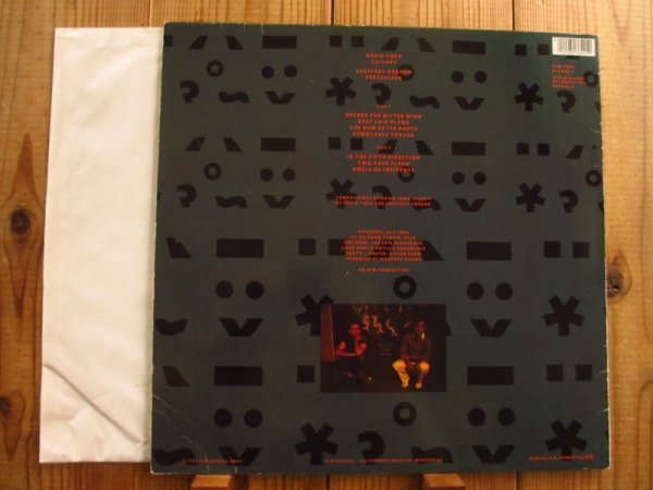 画像2: David Torn / Best Laid Plans (2)