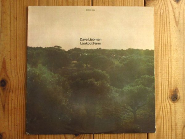 画像1: Dave Liebman / Lookout Farm (1)