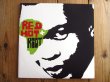 画像1: V.A. (D'Angelo, Sade, Nile Rodgers, Macy Gray, Roy Hargrove, MeShell Ndegeocello, Archie Shepp, Common, etc.) / Red Hot + Riot (1)