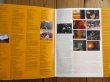 画像2: V.A. (D'Angelo, Sade, Nile Rodgers, Macy Gray, Roy Hargrove, MeShell Ndegeocello, Archie Shepp, Common, etc.) / Red Hot + Riot (2)