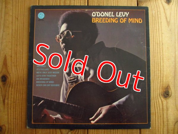 画像1: O'Donel Levy / Breeding Of Mind (1)