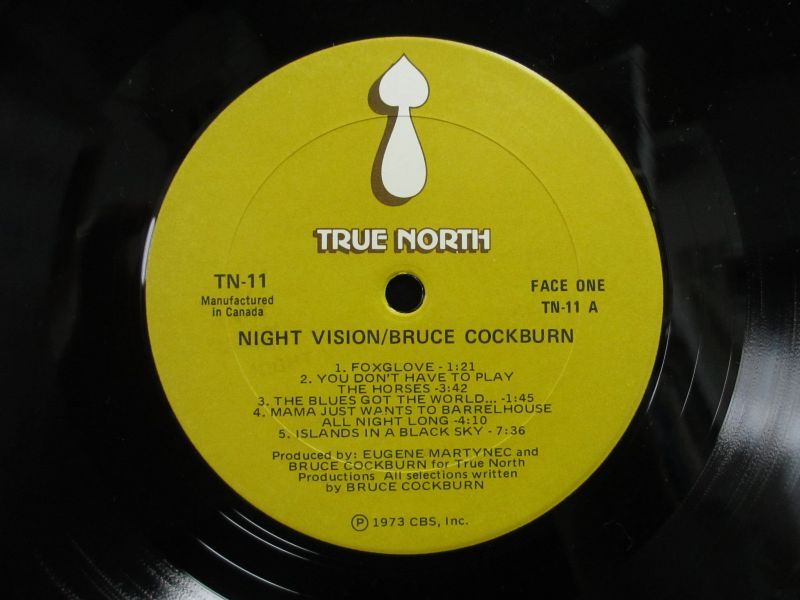 Bruce Cockburn / Night Vision - Guitar Records