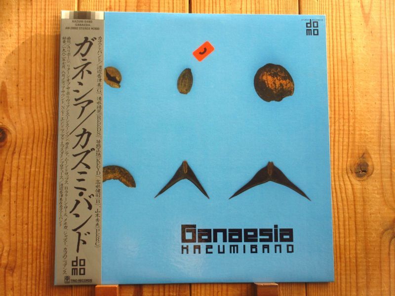 Kazumi Band - 渡辺香津美 / Ganaesia = ガネシア - Guitar Records